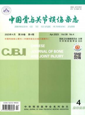 中国骨与关节损伤期刊